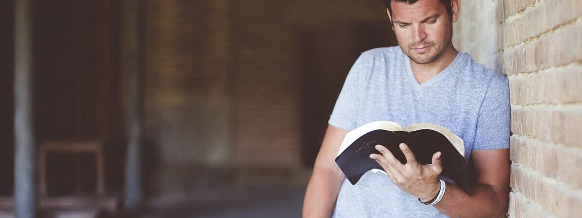 Bem Vindo a Biblioteca Online